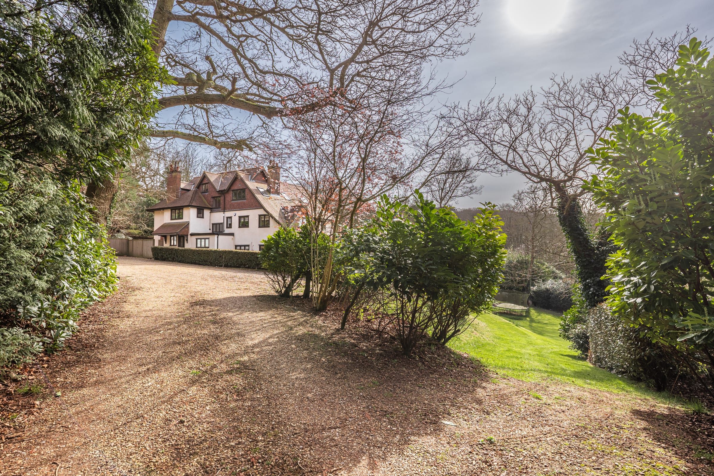 The approach — the private driveway through mature trees